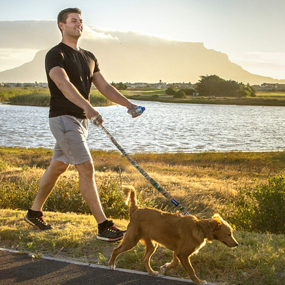 AUROTH leash with car travel seatbelt buckle supports safe trips with pets.