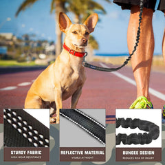 AUROTH dual padded-handles leash offers comfort and better control during crowded walks