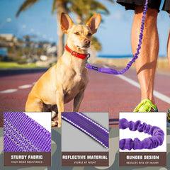 AUROTH heavy-duty bungee dog leash lower handle enables quick control in crowded areas