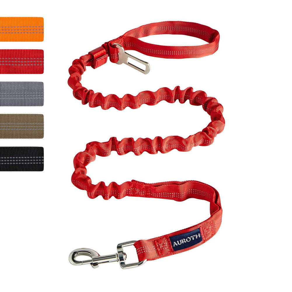 AUROTH heavy-duty bungee leash with metal clasp for secure outdoor walks