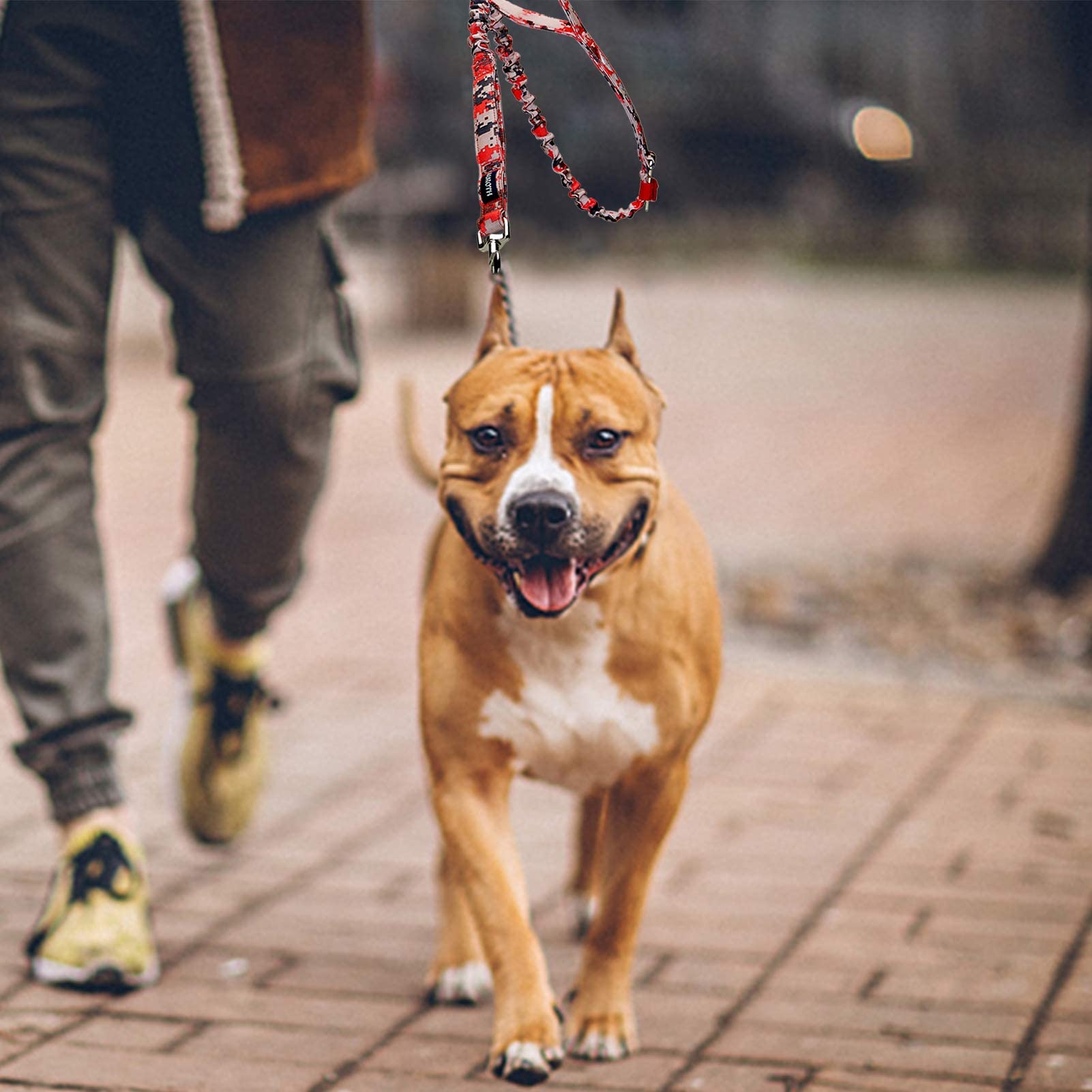 AUROTH heavy-duty dog leash for city walks with visible design and safety features