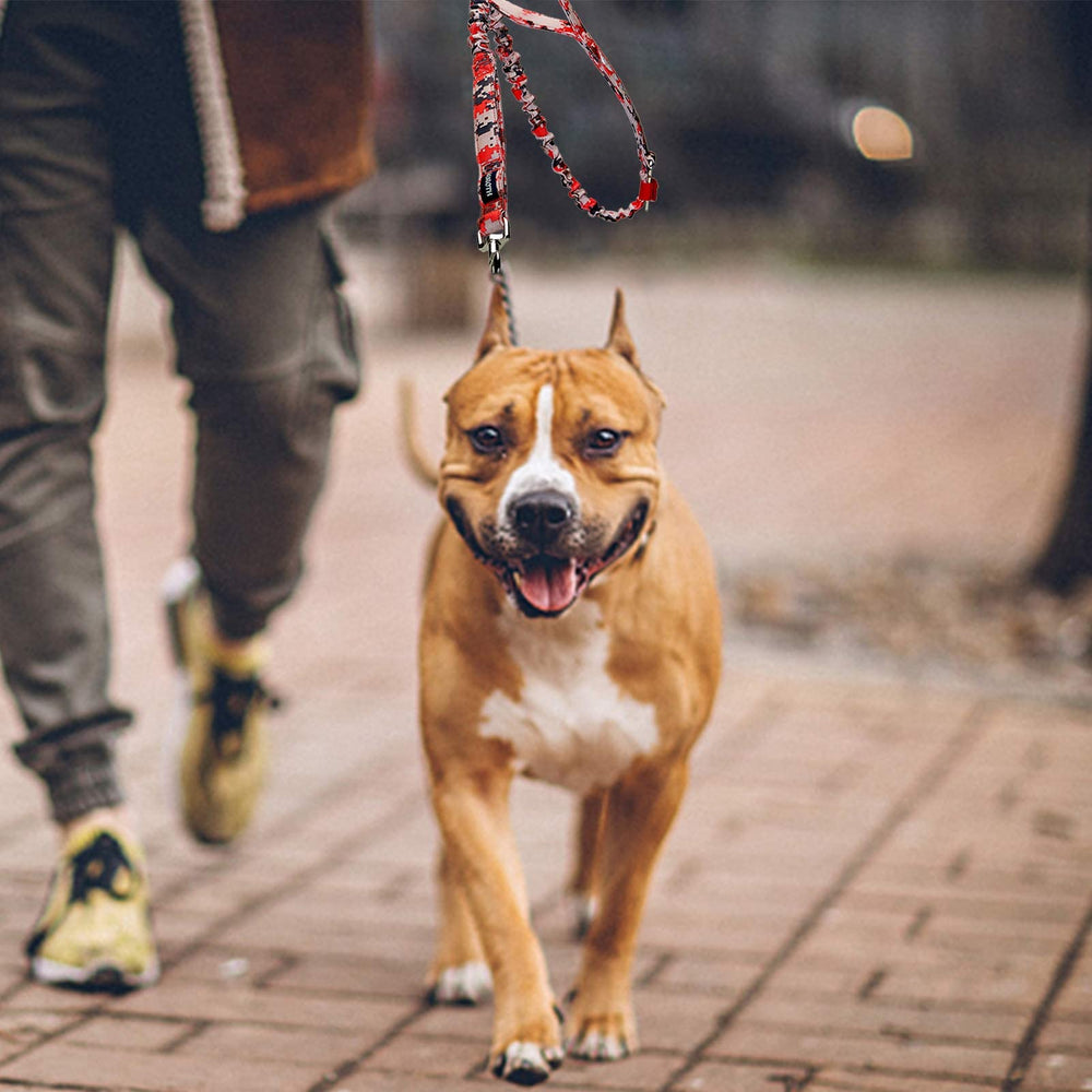 AUROTH heavy-duty dog leash for city walks with visible design and safety features