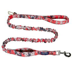 AUROTH heavy-duty dog leash front view shows secure control during daily walks