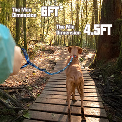 AUROTH heavy-duty dog leash metal clasp with 360° rotation for secure attachment.