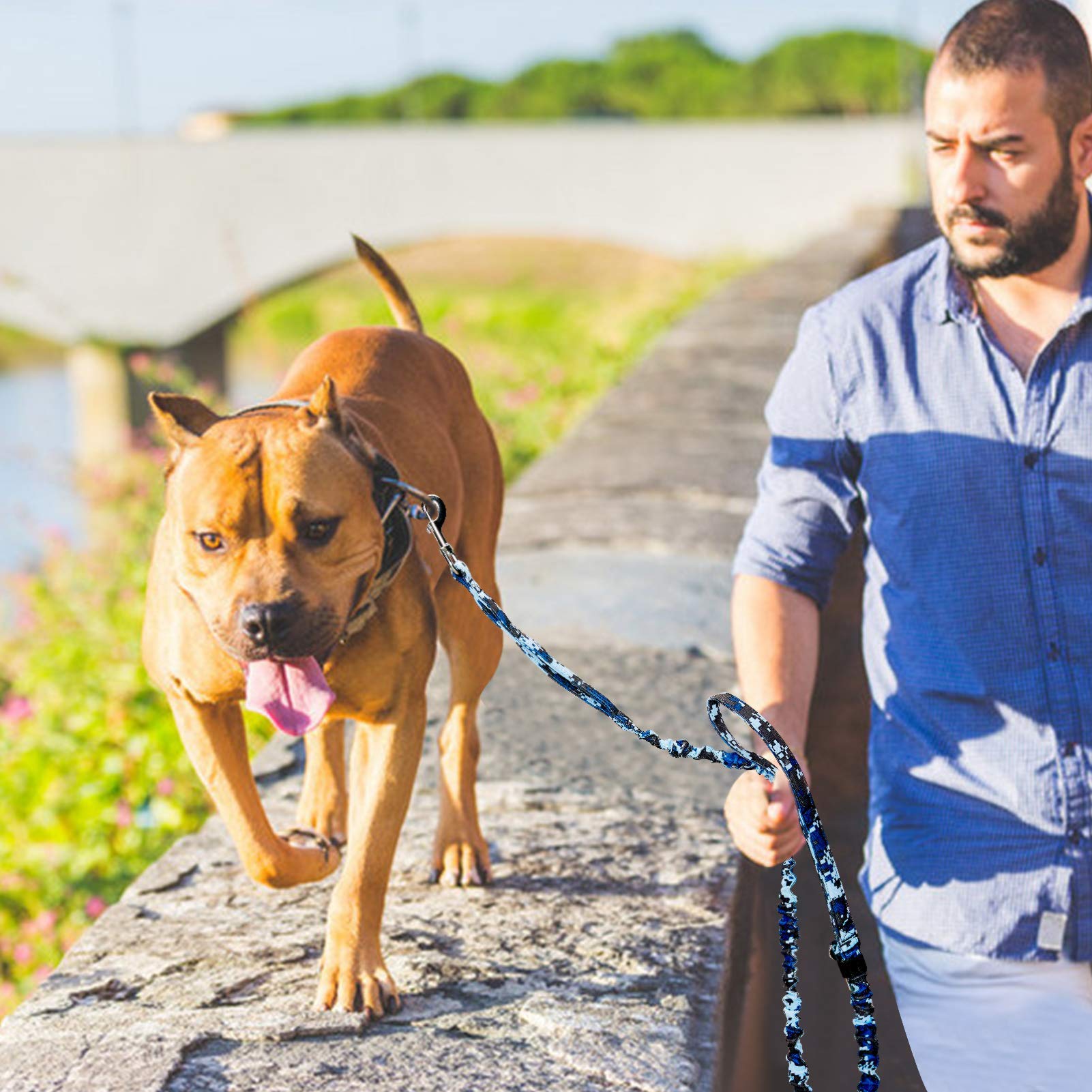 AUROTH heavy-duty dog leash reflective stitching improves nighttime visibility.