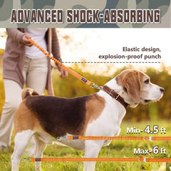 AUROTH Large Dog Leash 360-degree swivel clasp prevents tangles on outings