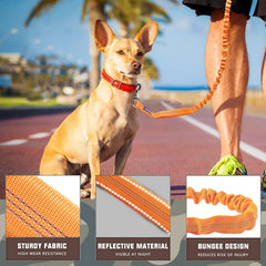 AUROTH Large Dog Leash dual padded handles provide comfortable control during urban strolls