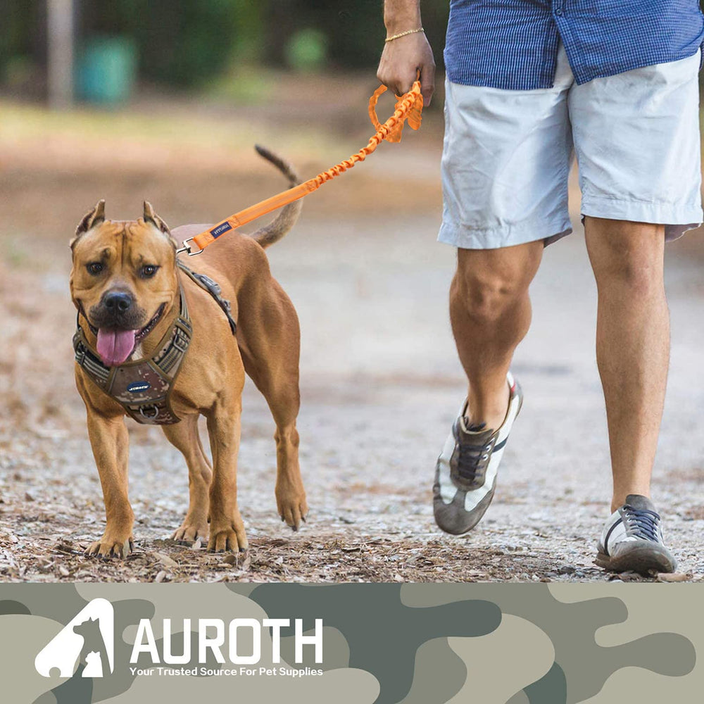 AUROTH Large Dog Leash seatbelt buckle supports safe car travel
