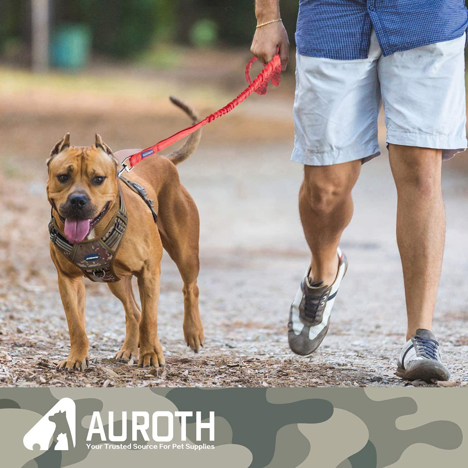 AUROTH large-dog training leash setup supports safer training sessions.