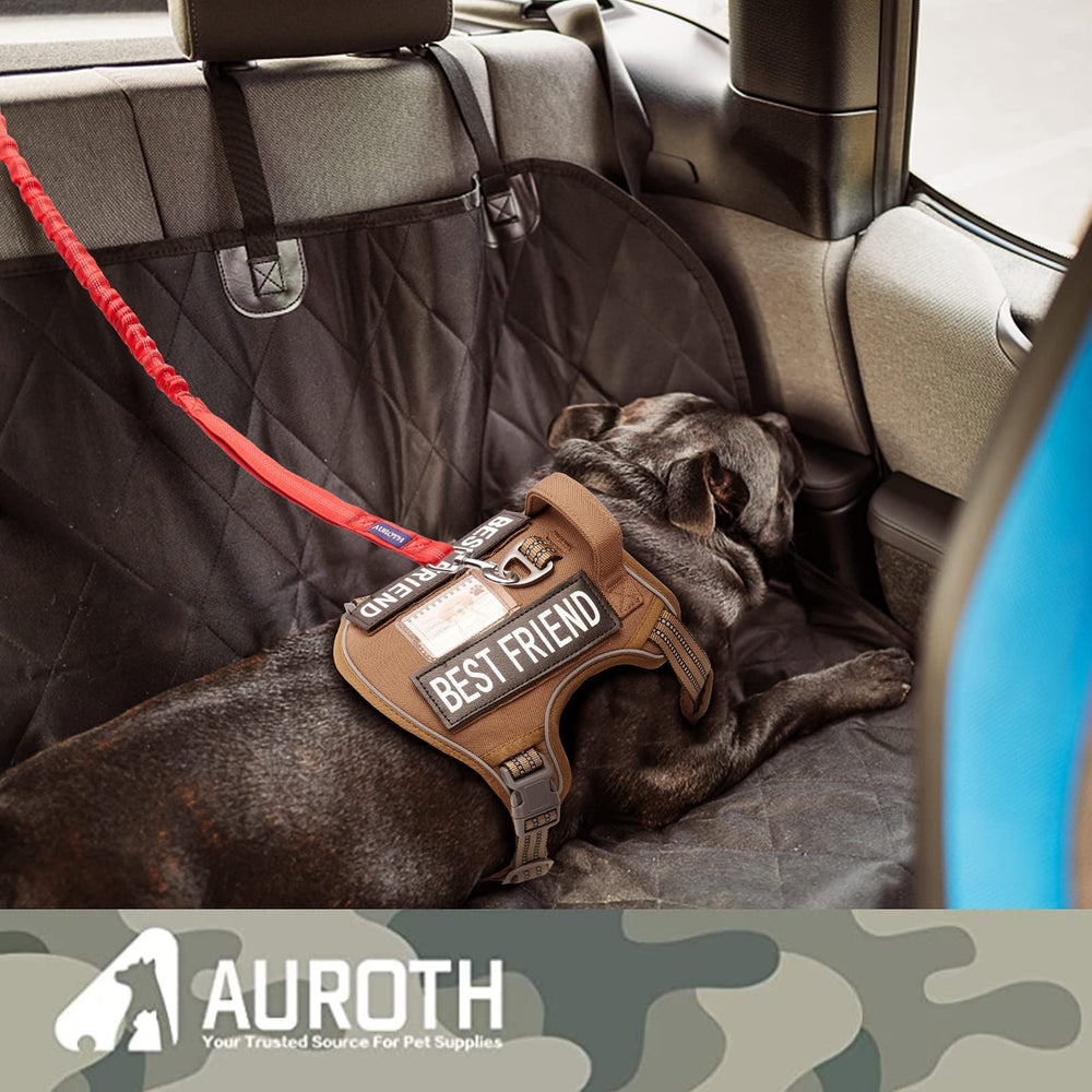 AUROTH leash with seatbelt buckle feature for car travel safety