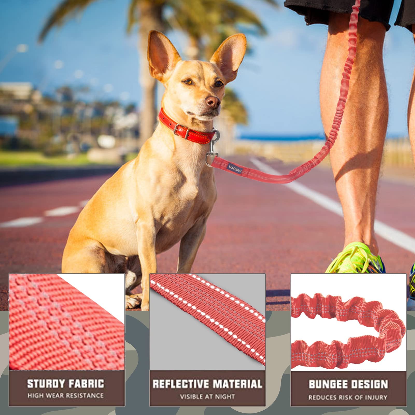 AUROTH leash with two padded handles for comfort and control