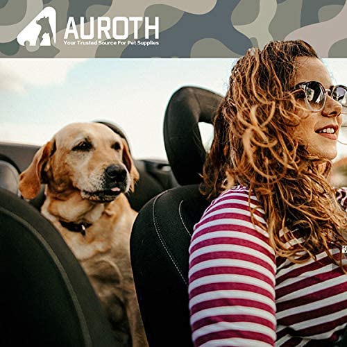 AUROTH leash in crowded area for safe, controlled walks