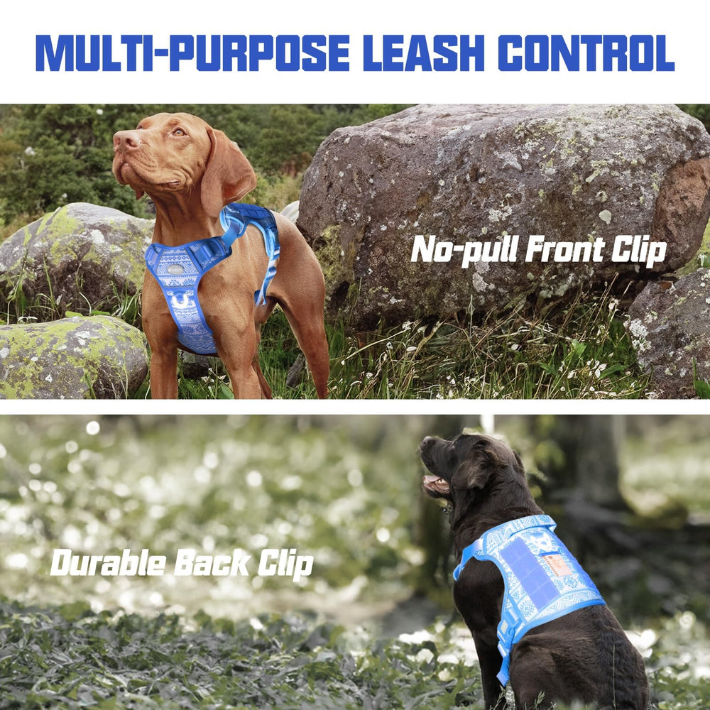 AUROTH molle system with patches supports gear and ID options for personalization