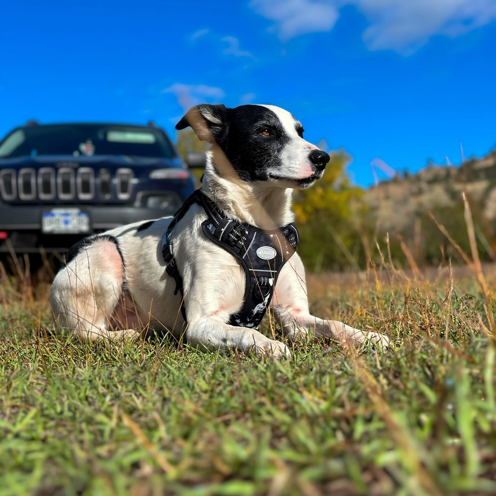 AUROTH reflective strips enhance visibility in low light conditions.