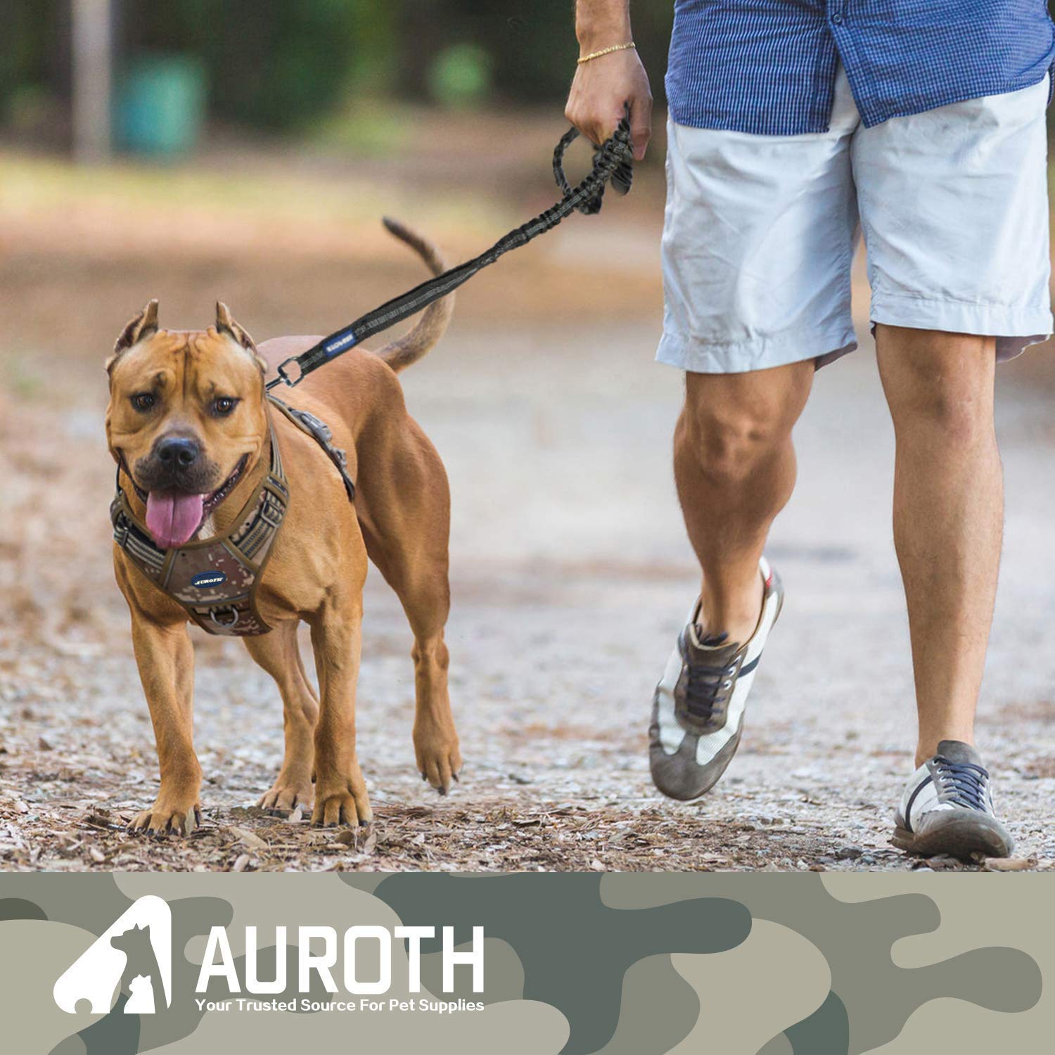 AUROTH seatbelt buckle enables safer car travel with your dog