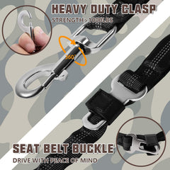 AUROTH shock-absorption bungee design eases sudden pulls for smoother outings