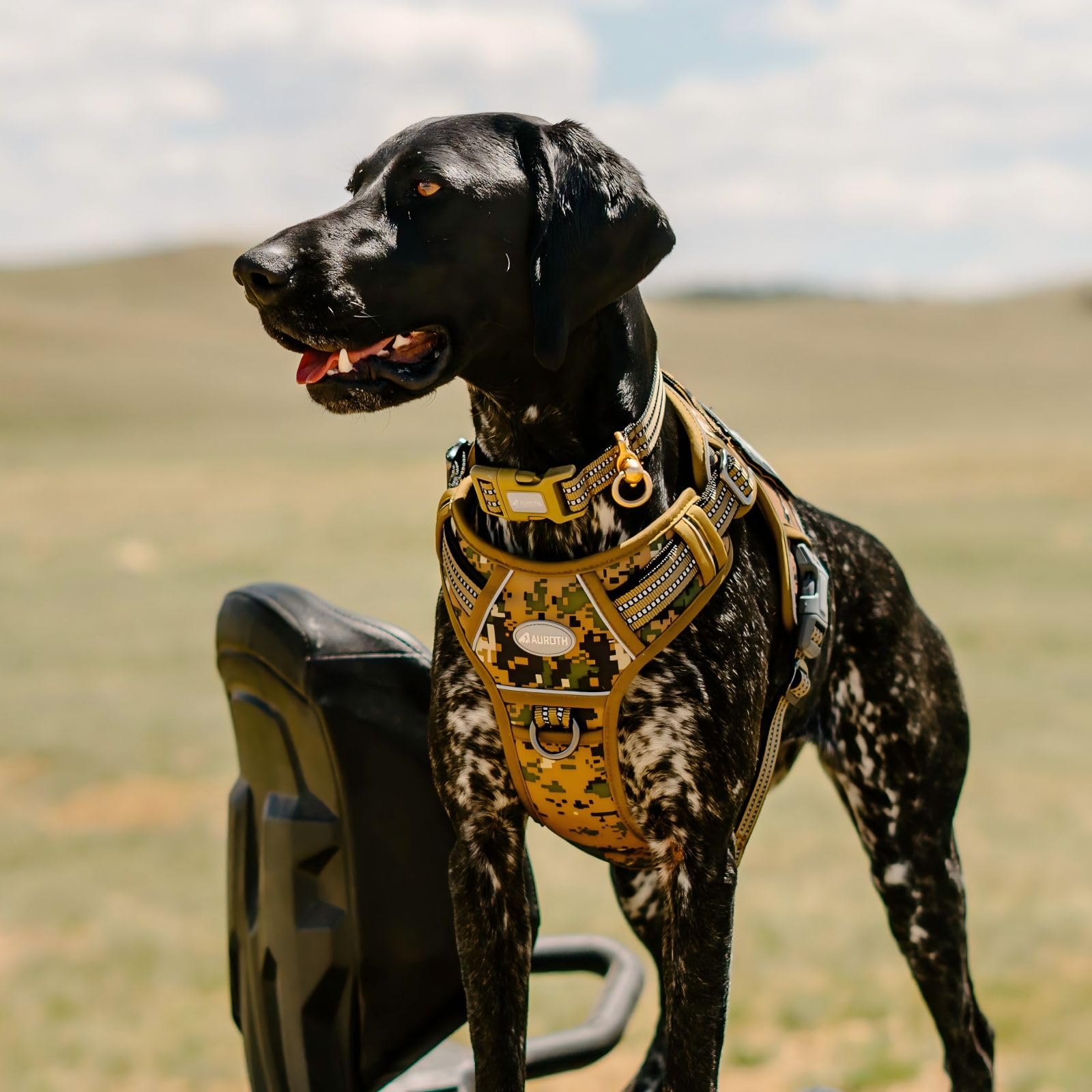 AUROTH Tactical Dog Harness adjustment buckles offer quick, secure fit.