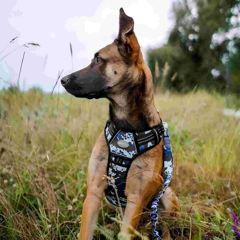 AUROTH tactical dog harness breathable air mesh padding keeps pups comfortable.