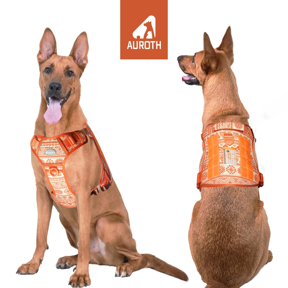AUROTH Tactical Dog Harness back clip enables casual walking and jogging