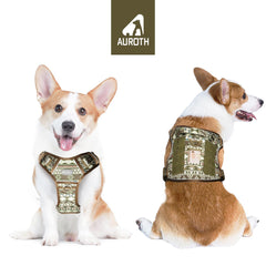 AUROTH tactical dog harness back clip for casual walks and easy movement