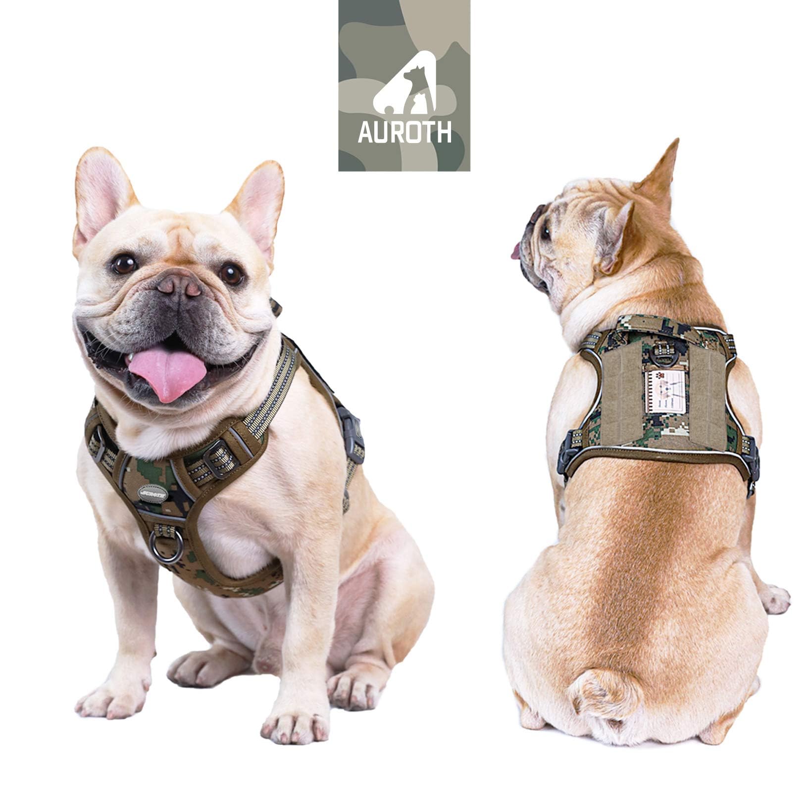 AUROTH Tactical Dog Harness back clip demonstrates secure support for casual strolls.