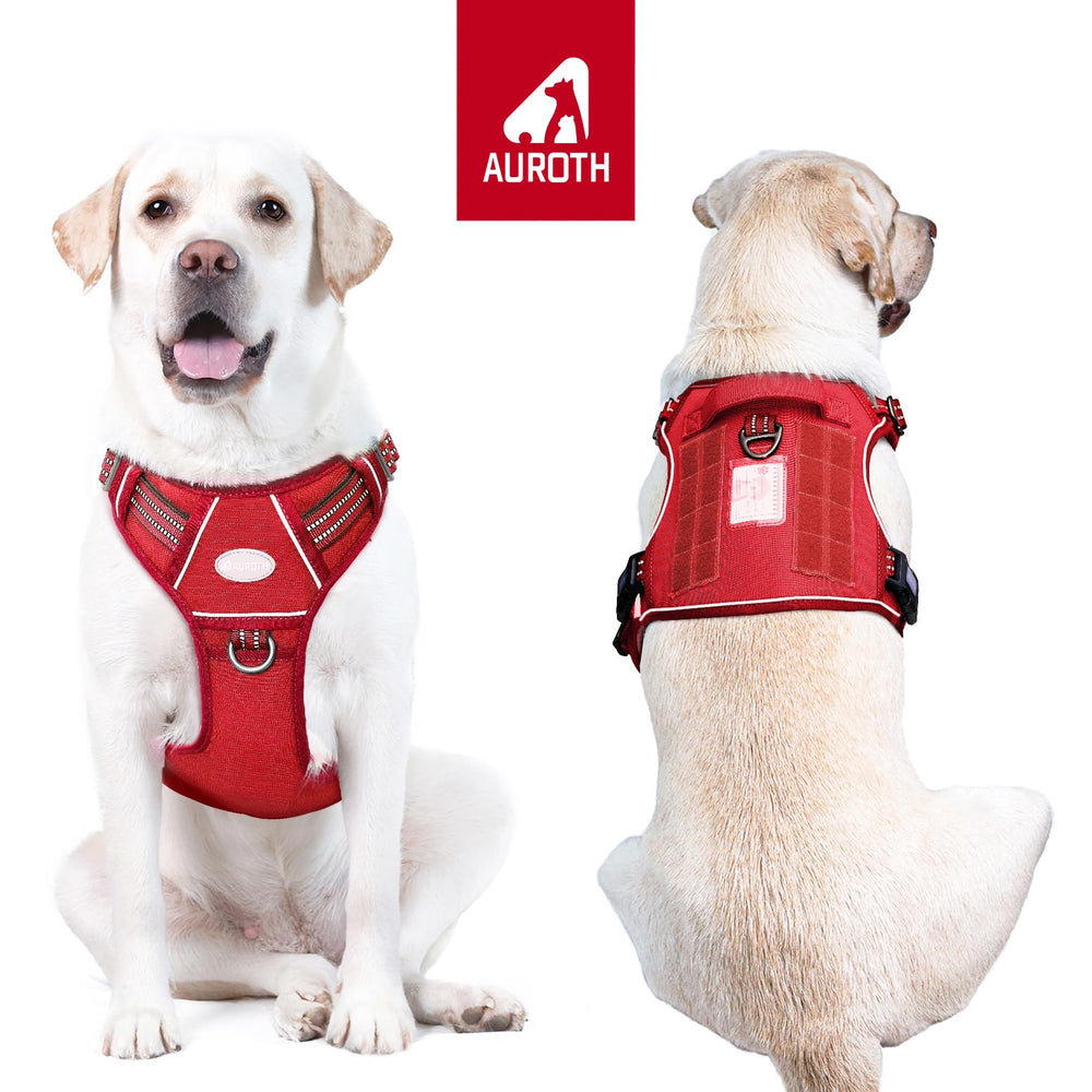 AUROTH Tactical Dog Harness back view shows secure leash back-clip for casual walks.
