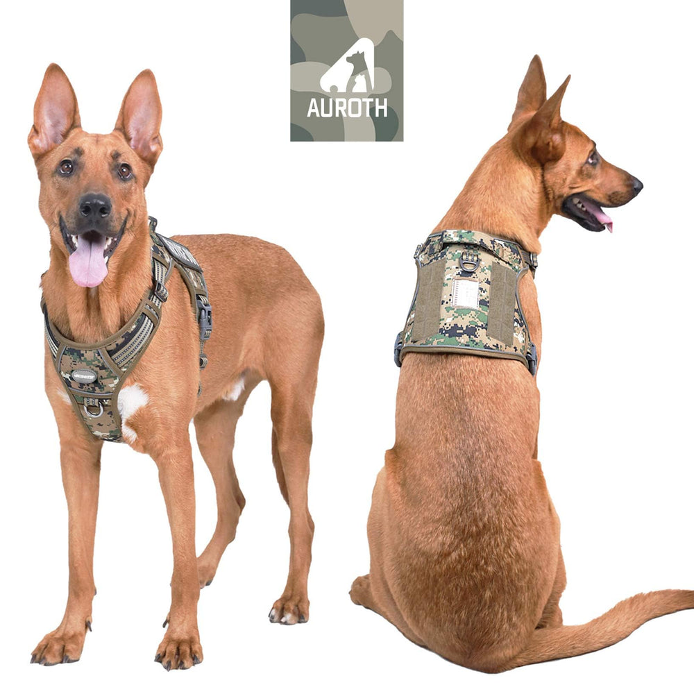 AUROTH tactical harness back view showing secure everyday walks