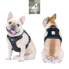 AUROTH tactical dog harness back view highlights secure back clip for everyday walks