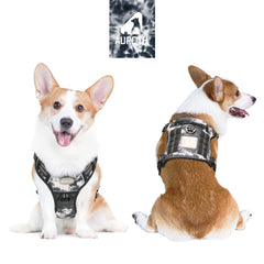 AUROTH tactical dog harness back view highlighting dual leash attachment points.