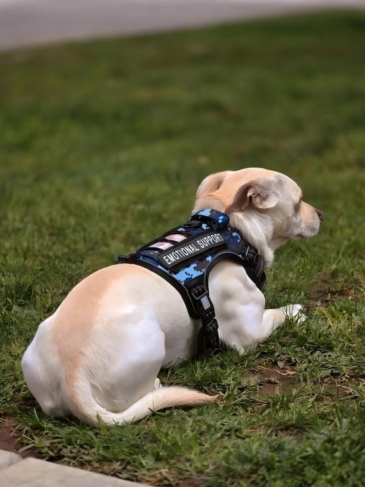 AUROTH Tactical Dog Harness blue camo fabric with rugged look and safety