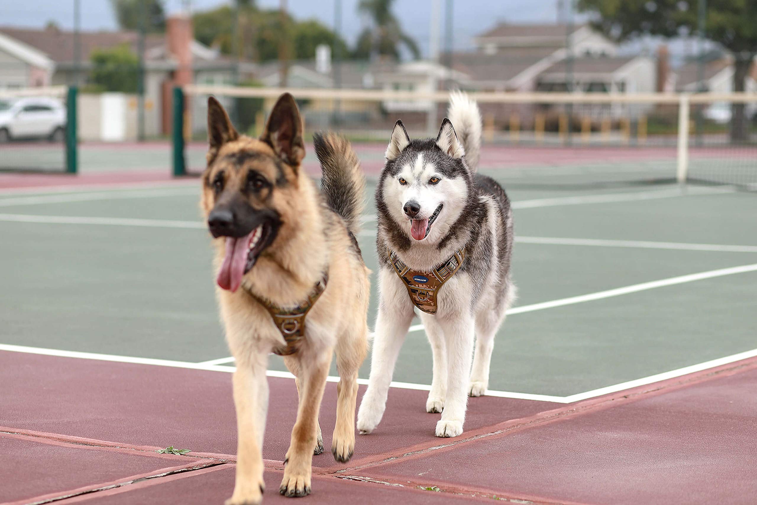 AUROTH Tactical Dog Harness breathable air mesh keeps dogs cool.