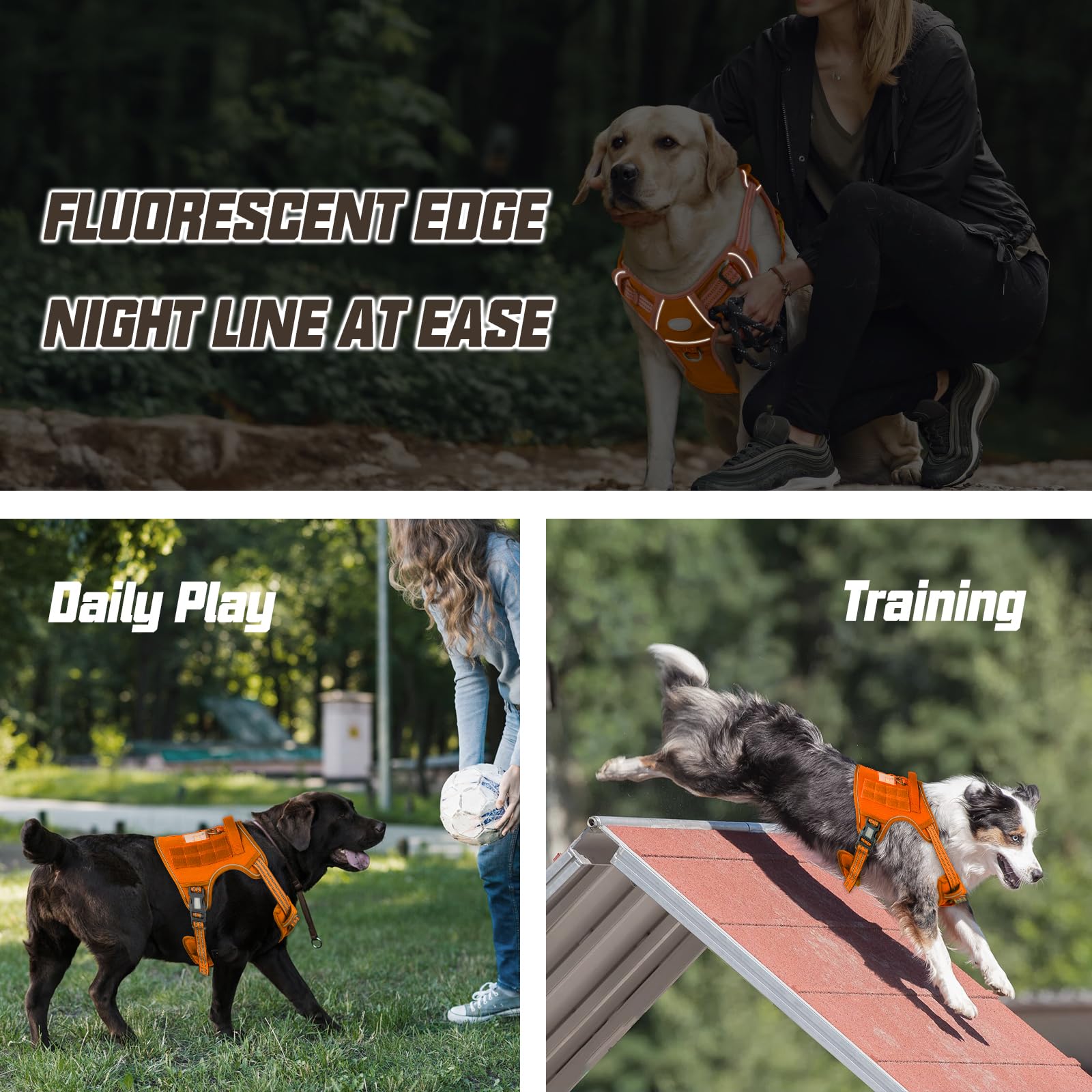 AUROTH harness highlights chest and shoulder rings for versatile attachment