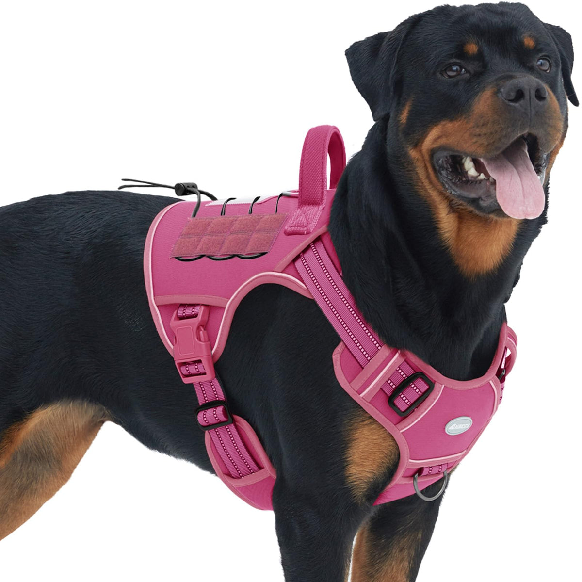 AUROTH Tactical dog harness with closed buckles for quick on/off and secure fit.