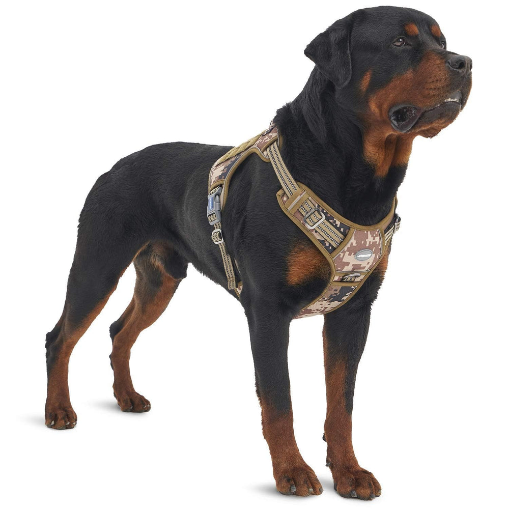 Auroth tactical dog harness desert camo XL for rugged outdoor use.