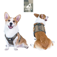 AUROTH harness durability with reinforced stitching for rugged use