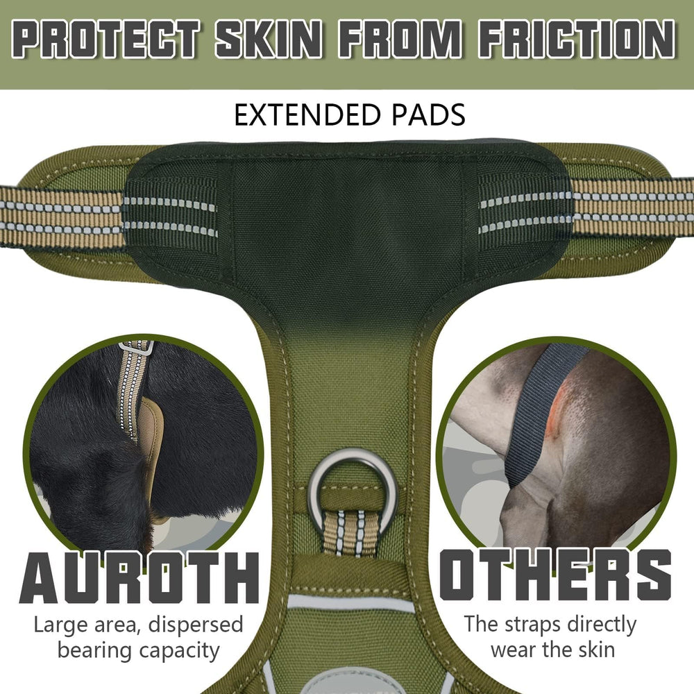 AUROTH metal leash points front and back enhance control.