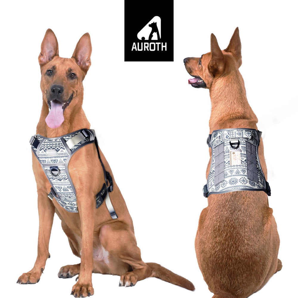 AUROTH front-clip harness demonstrates training-focused control during busy streets.