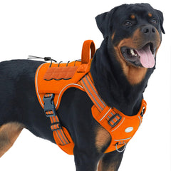 AUROTH tactical dog harness front view shows adjustable fit for comfortable big-dog walks.