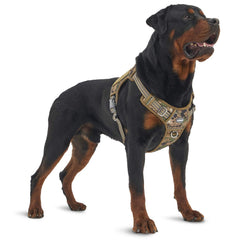 AUROTH tactical dog harness front view for no-pull training benefit
