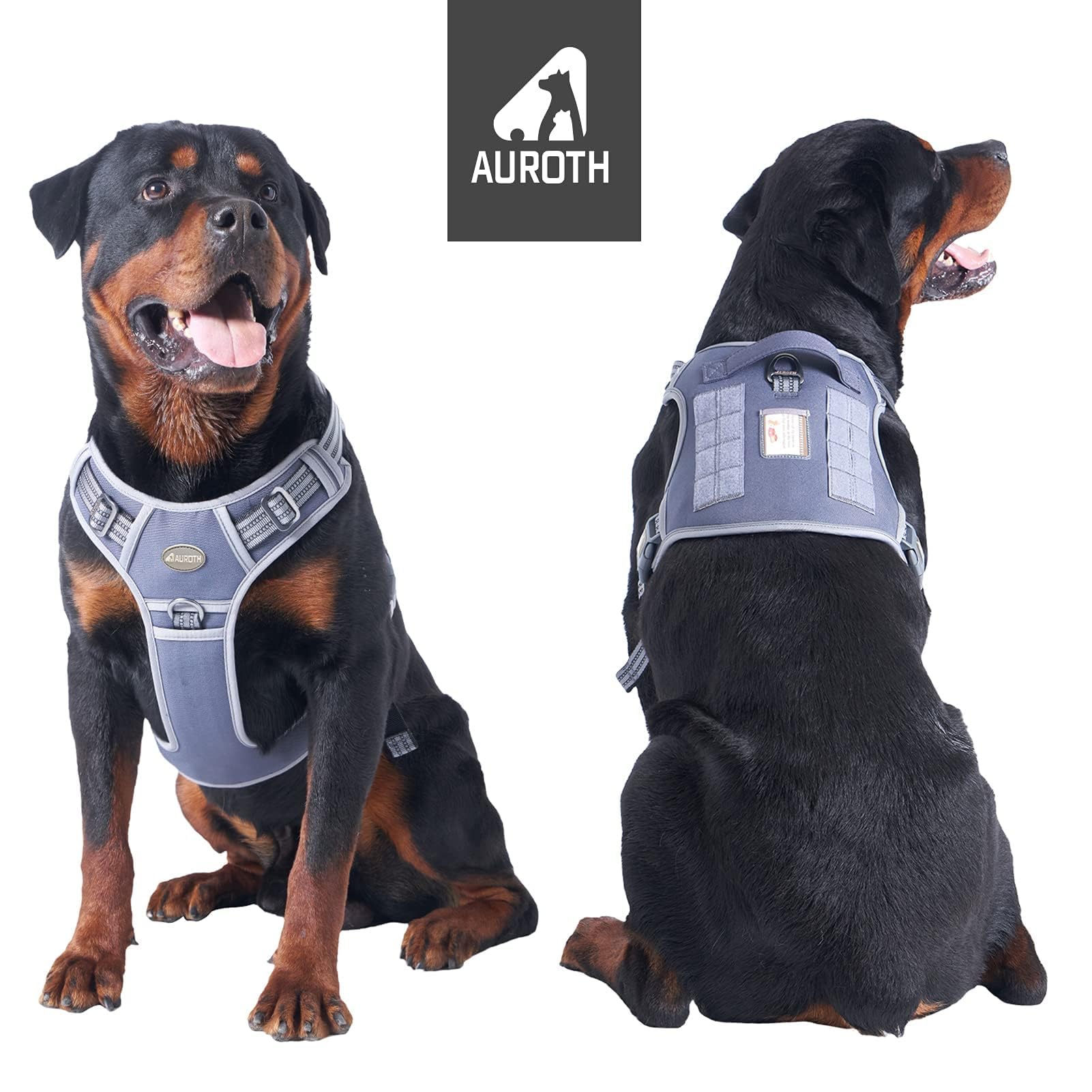 AUROTH Tactical Dog Harness size-chart close-up confirms four-size options for accurate fitting.