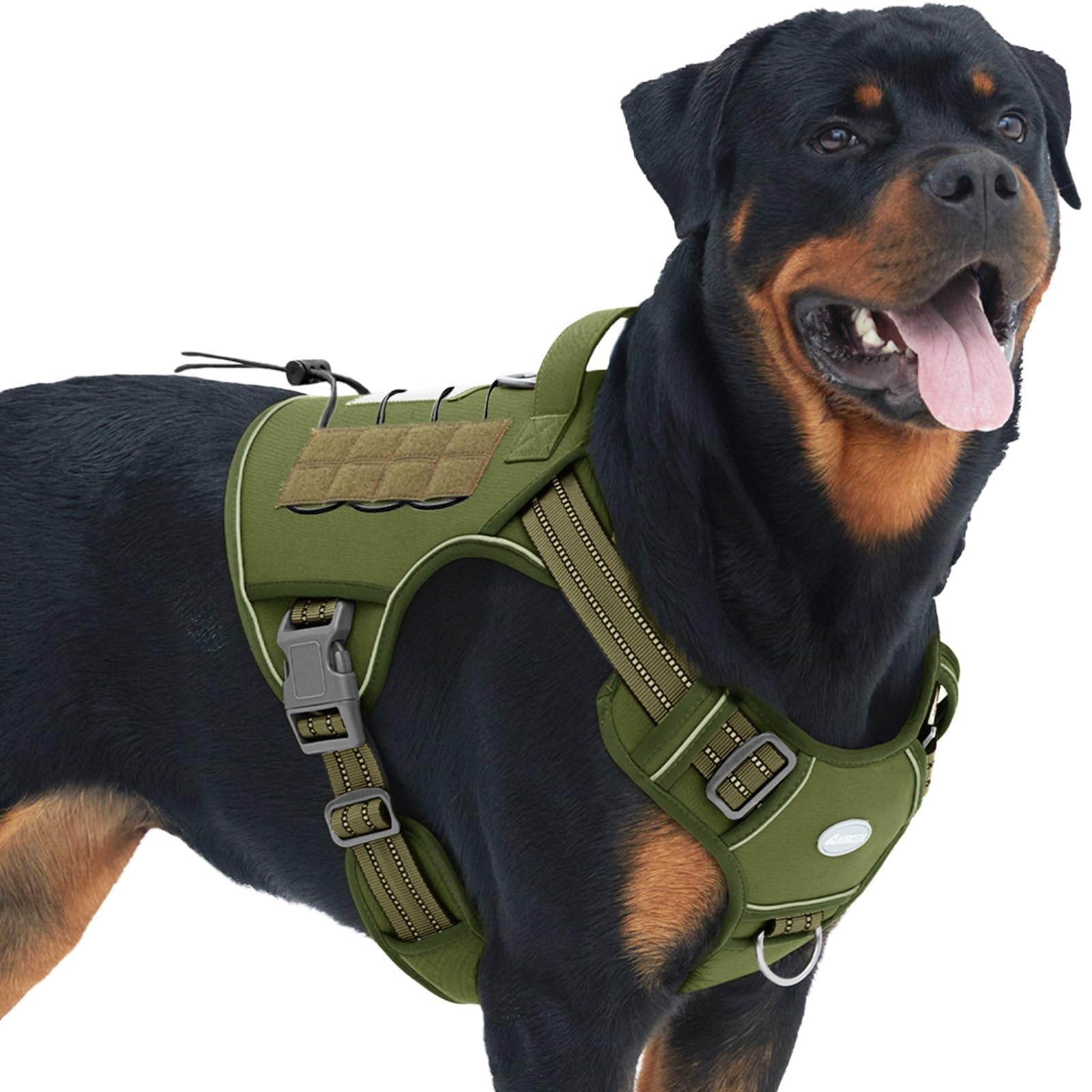 AUROTH ID badge reads BEST FRIEND for quick identification.