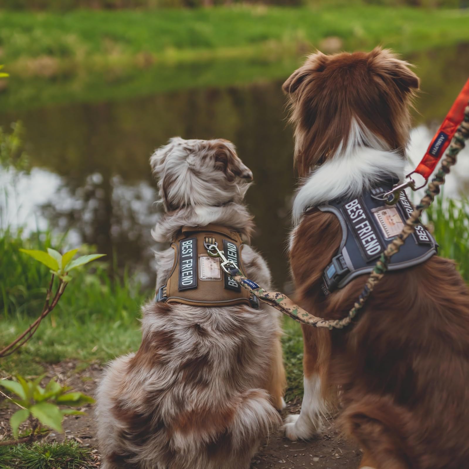 AUROTH Tactical Dog Harness ID badge best friend adds playful personalization
