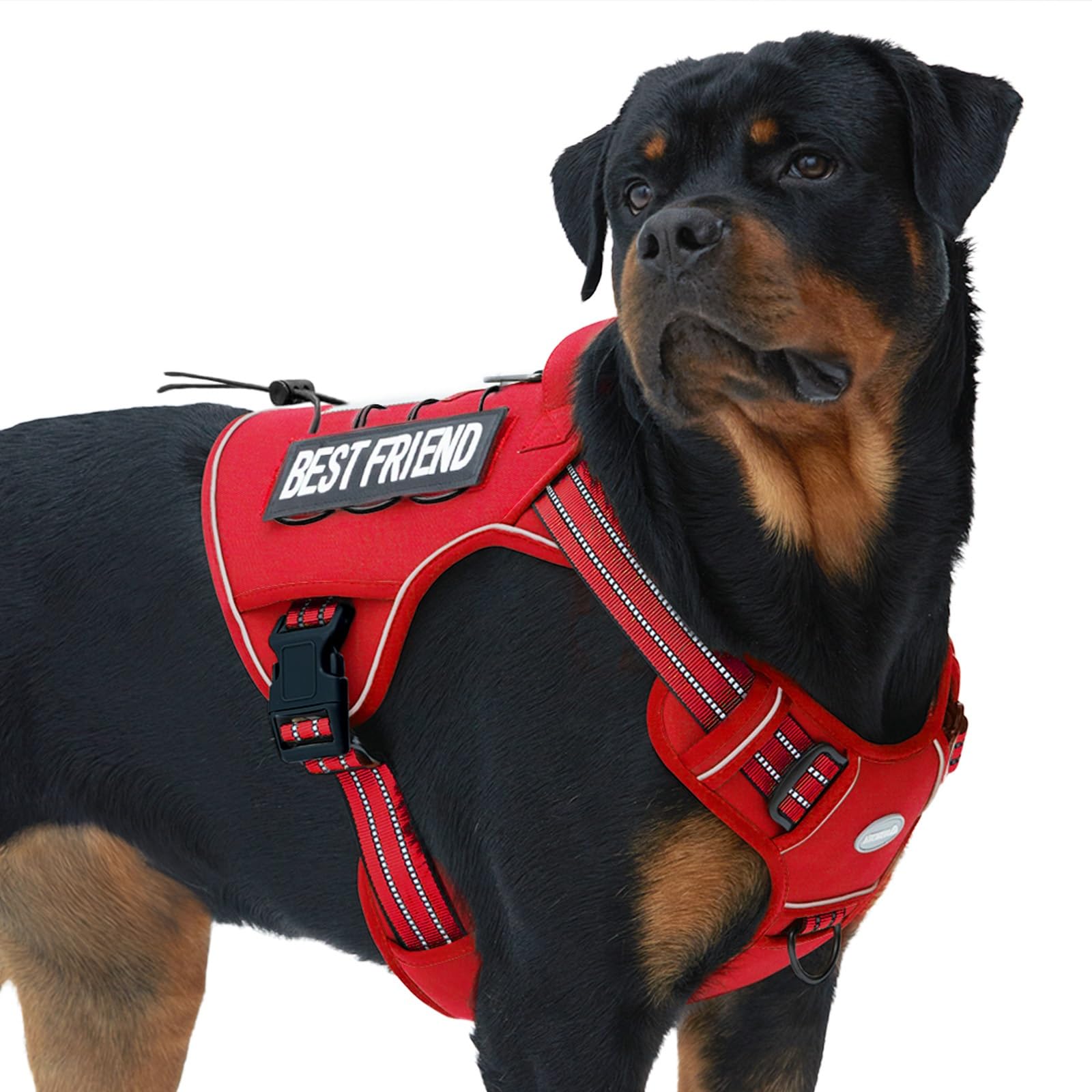 auroth tactical dog harness front view with reflective trim for safe walks.