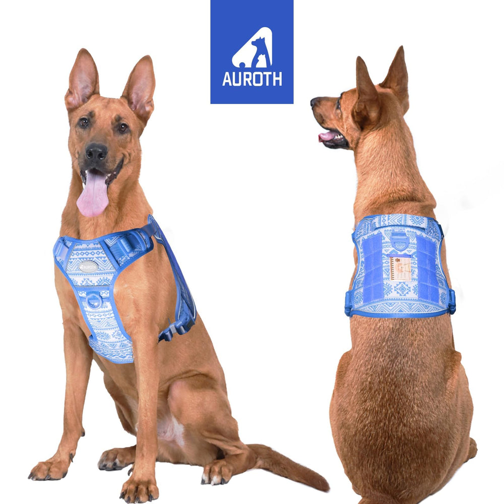 AUROTH Molle-equipped harness allows carrying gear and patches