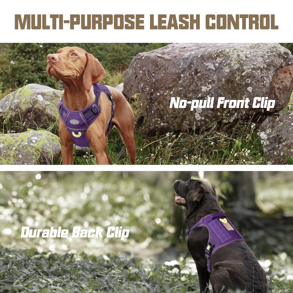 AUROTH Tactical Dog Harness Purple MOLLE system on the side supports patches and gear.