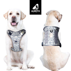 AUROTH harness side view highlighting adjustable fit for large dogs
