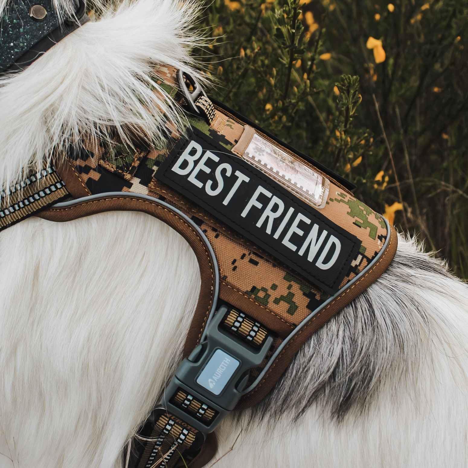 AUROTH Tactical Dog Harness no-pull design supports effective training sessions.