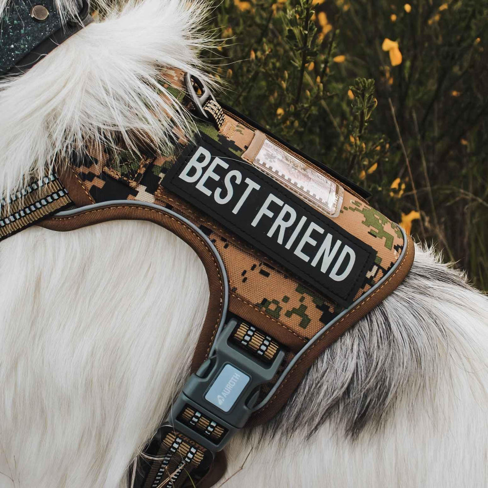 AUROTH Tactical Dog Harness no-pull design supports effective training sessions.