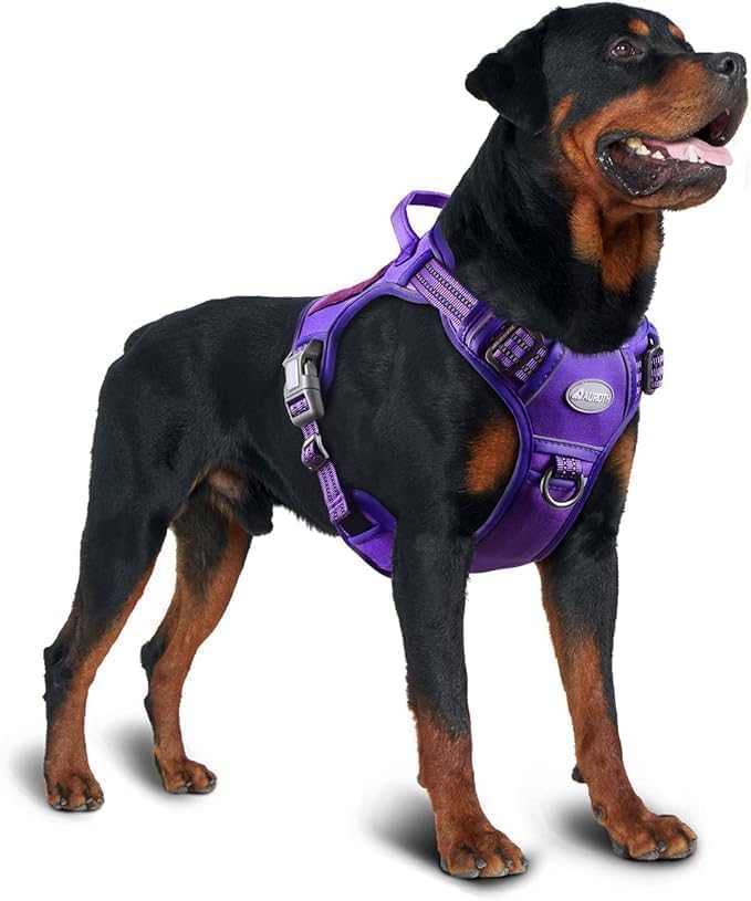 AUROTH Tactical Dog Harness Purple padded air mesh keeps dogs cool during longer sessions.