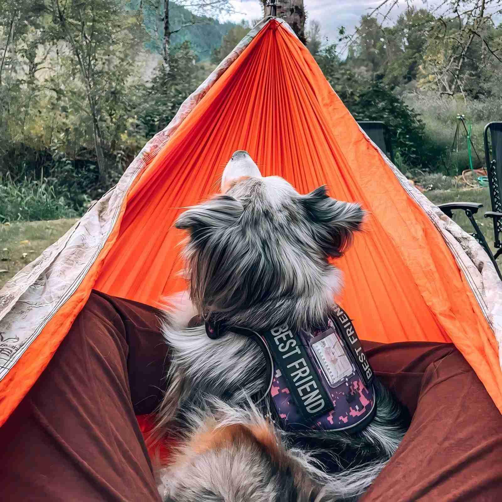 AUROTH Tactical Dog Harness padded shoulders improve comfort during long walks.